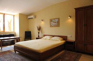 Отель Complex Racic Voyvodinovo Двухместный номер с 1 кроватью или 2 отдельными кроватями-6